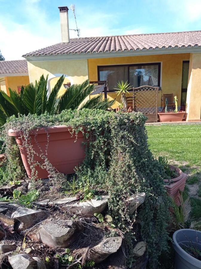 Villa La Luce Del Sinis Riola Sardo Exterior foto